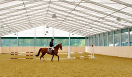 Horse-riding schools 